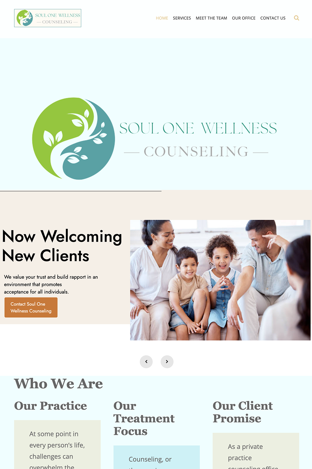 Soul One Wellness mobile